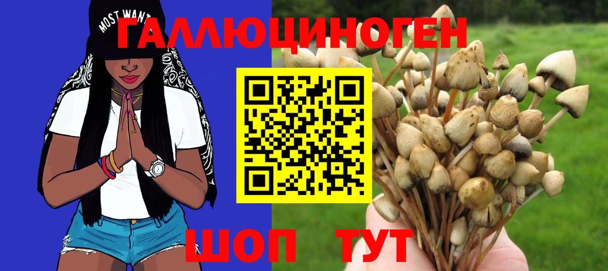 Псилоцибиновые грибы GOLDEN TEACHER Пушкино